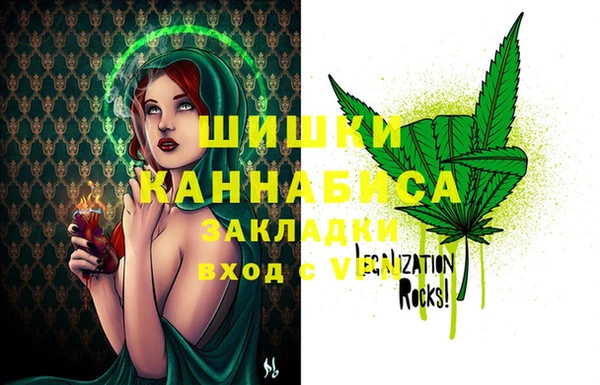 прущие грибы Абдулино