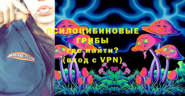прущие грибы Абдулино