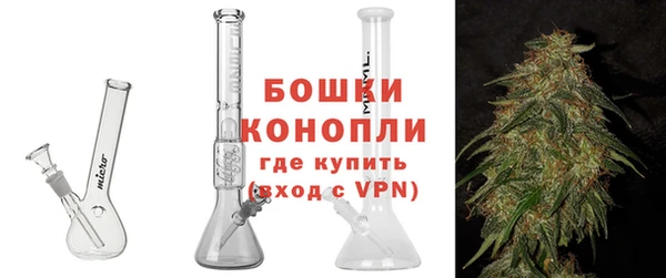 прущие грибы Абдулино