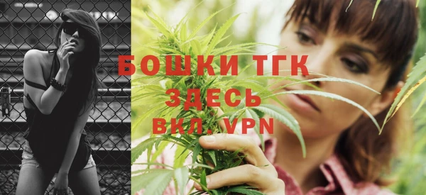 прущие грибы Абдулино