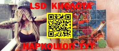 прущие грибы Кингисепп
