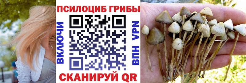 Псилоцибиновые грибы ЛСД  Котовск 