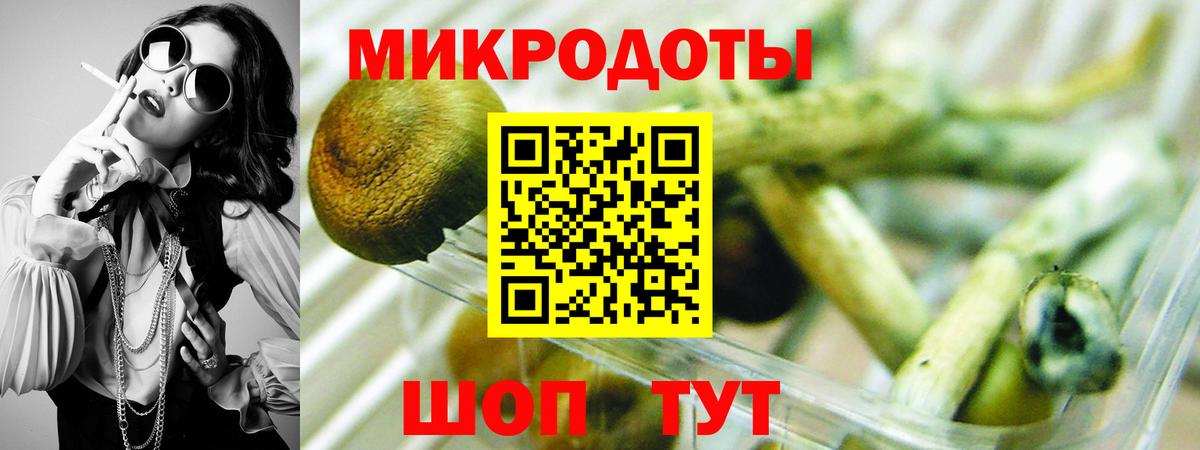 Псилоцибиновые грибы мухоморы  Вход с VPN  Псилоцибиновые грибы Psilocybe  Котовск 
