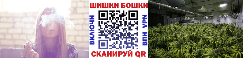 МАРИХУАНА планчик  купить  цена  Котовск 